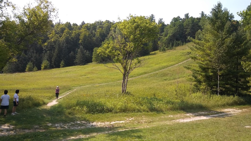 Rouge Valley Conservation Centre | 1749 Meadowvale Rd, Scarborough, ON M1B 5W8, Canada | Phone: (416) 282-8265
