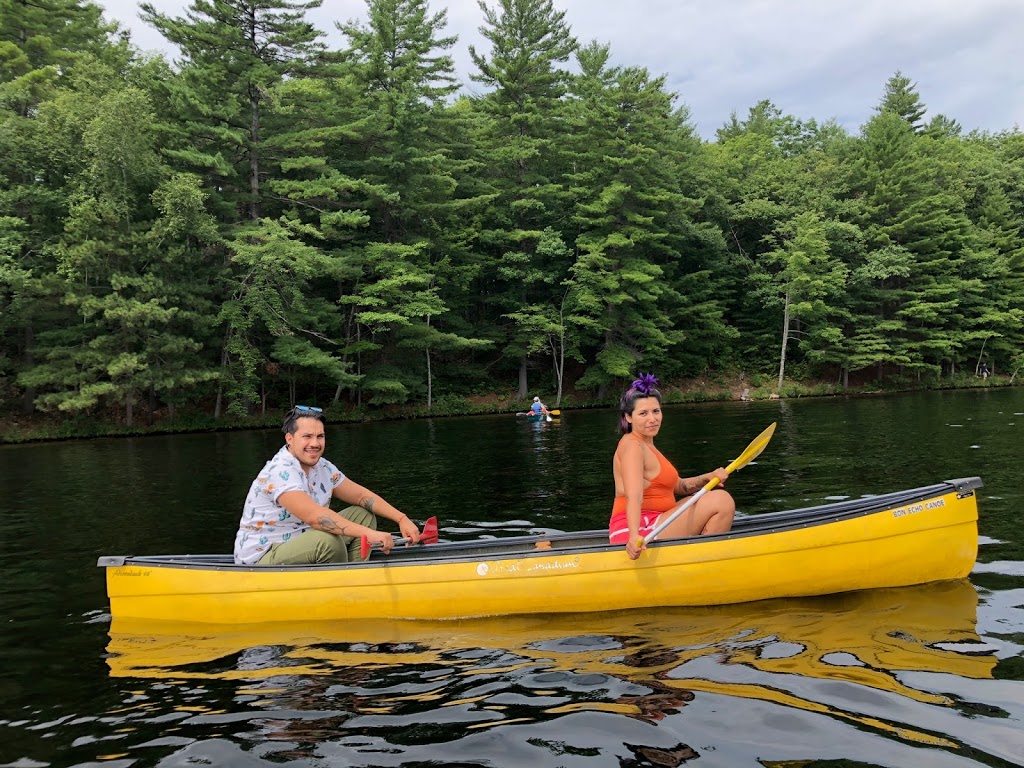 Toronto EcoAdventures | 171 Christie St, Toronto, ON M6G 3B3, Canada | Phone: (647) 409-7400
