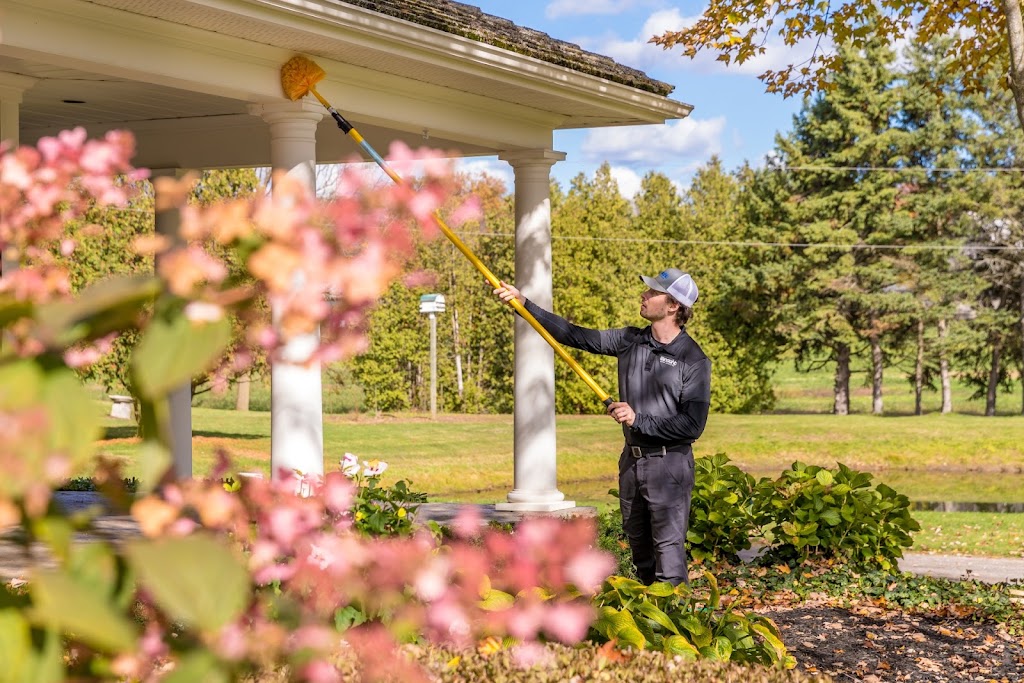 Insight Pest Solutions | 1000 Windmill Rd Unit 4A, Dartmouth, NS B3B 1L7, Canada | Phone: (855) 489-3640