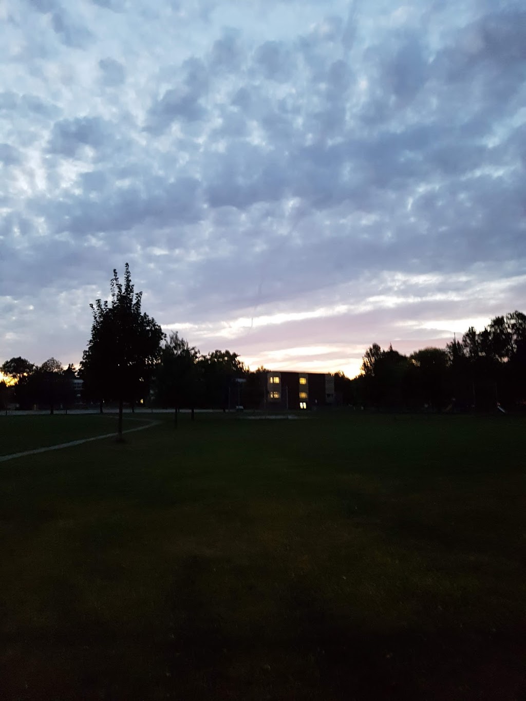 Lillian Park | 227 Otonabee Ave, North York, ON M2M 2S9, Canada
