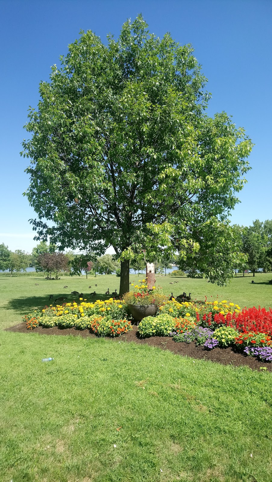 Parc de la Merci | Ahuntsic-Cartierville, Montreal, QC H3M, Canada