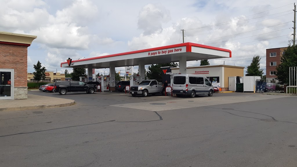 Canadian Tire - Alliston, ON | 110 Young St, Alliston, ON L9R 1P8, Canada | Phone: (705) 435-5551