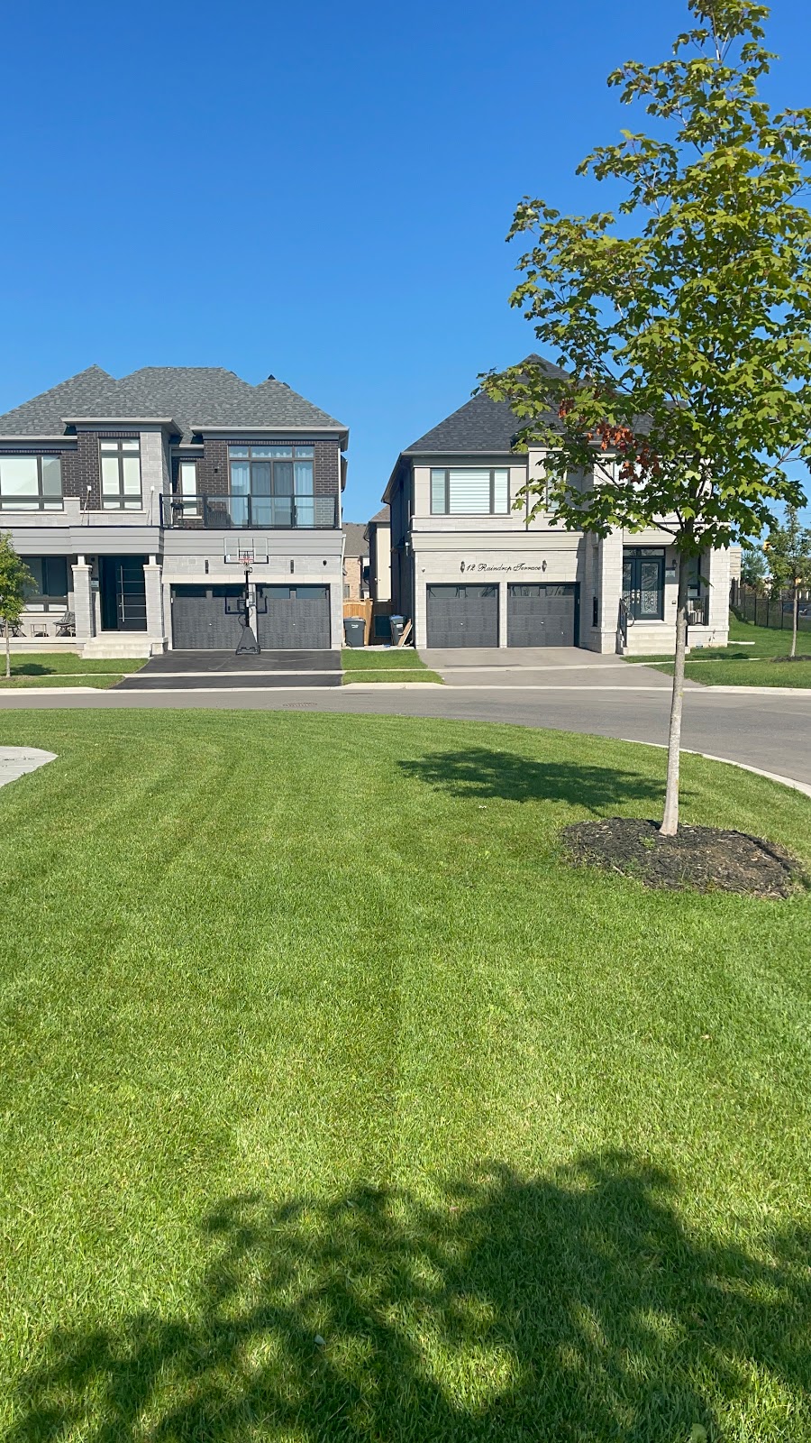 Absolute Lawn | point of interest | 485 Meadows Blvd, Mississauga, ON L4Z 1H1, Canada | 6479015102 OR +1 647-901-5102