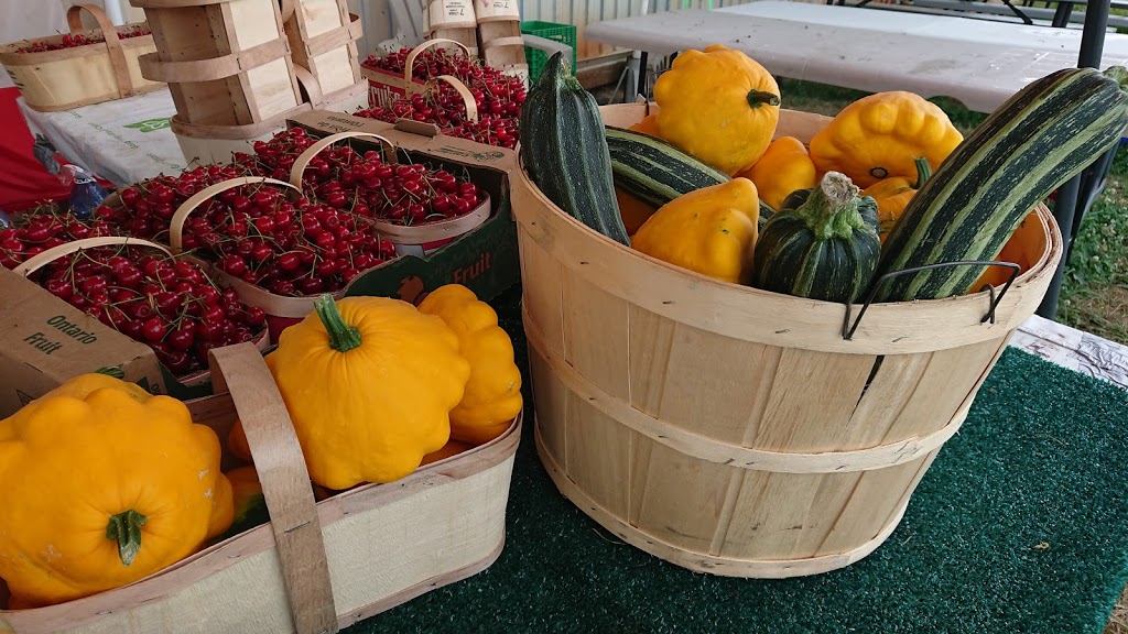 20 Valley Harvest Farms (Only Open In July) | 4235 Fifteenth St, Jordan Station, ON L0R 1S0, Canada | Phone: (905) 562-5272