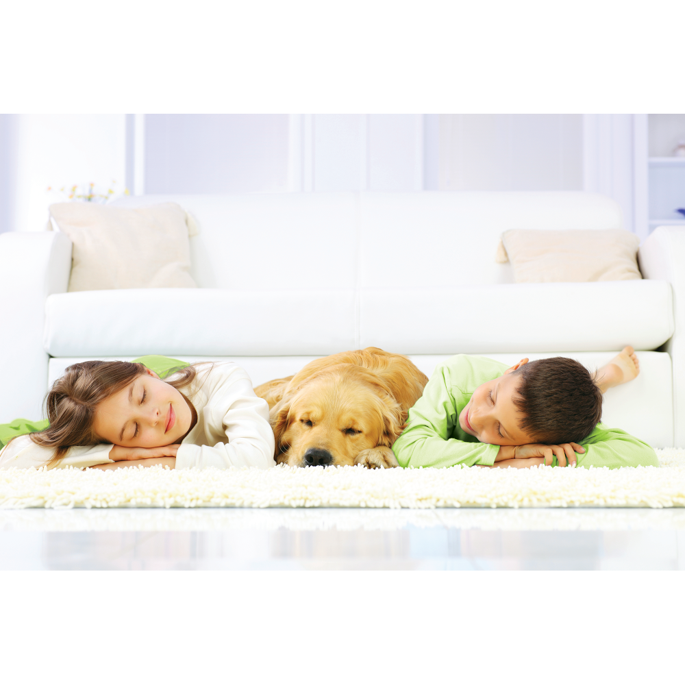 swift clean | 102-450 N Nanaimo St, Vancouver, BC V5L 3G8, Canada | Phone: (778) 847-0475