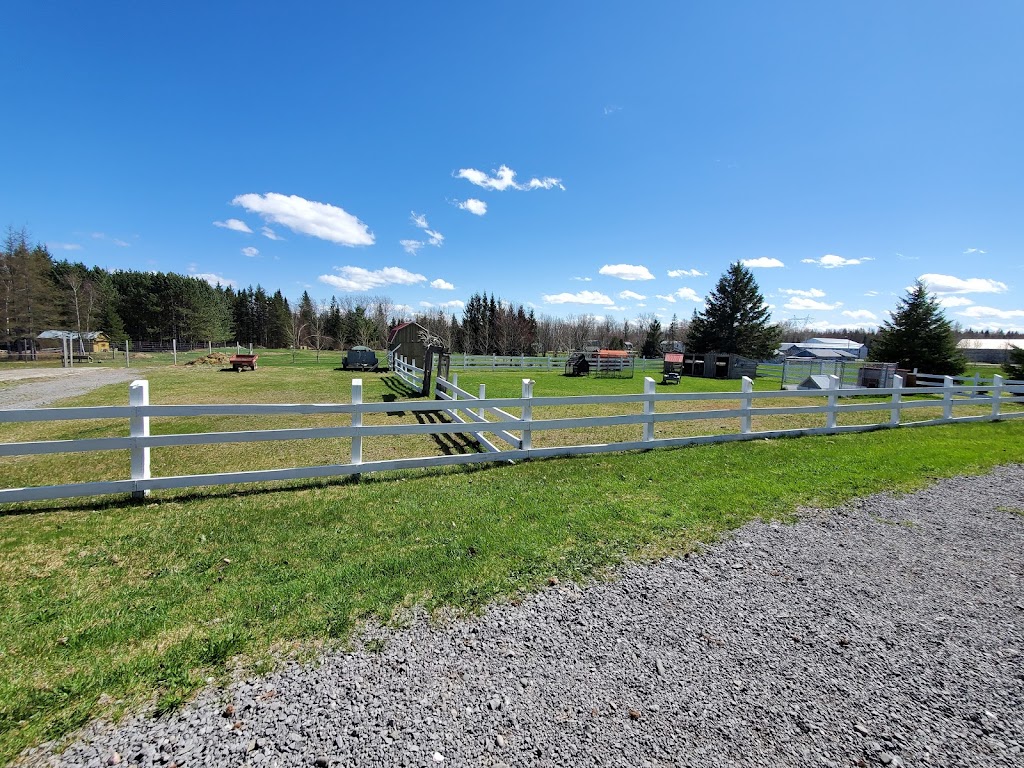 Ferme & pisciculture Lac en Ville | 15550 Bd Valcartier, Québec, QC G2A 0A1, Canada | Phone: (418) 845-3343