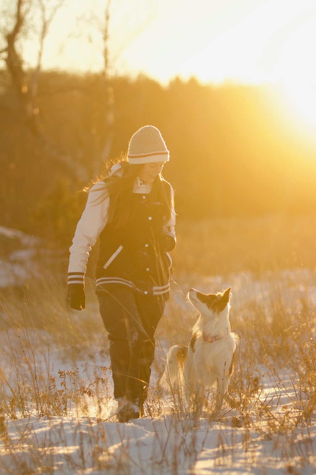 Alexandra Côté, entrainement canin | 3755 Chem. de lAéroport, Thetford Mines, QC G6G 5R7, Canada | Phone: (418) 334-9974