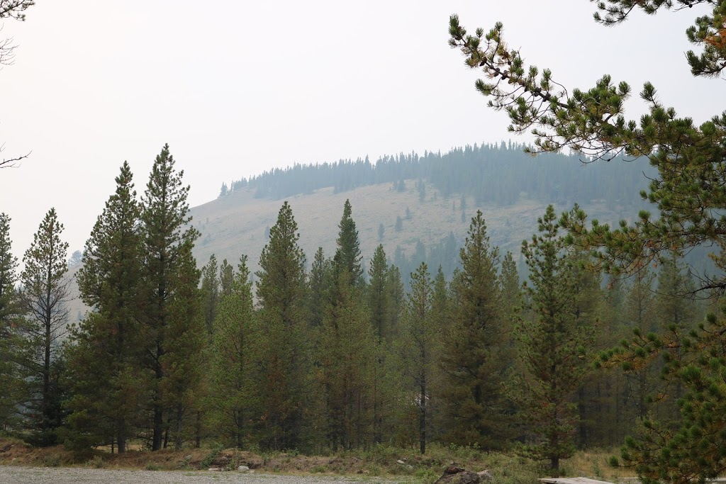 Honeymoon Creek Provincial Recreation Area | Ranchland No. 66, AB T0L 1H0, Canada | Phone: (403) 627-1165