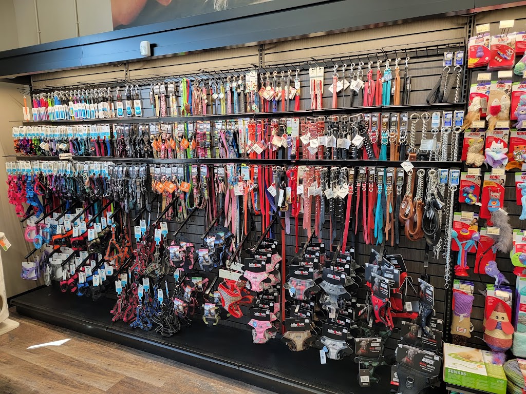 Pet Valu | 816 Ojibway Rd Building C, Unit 1, Shelburne, ON L9V 3X9, Canada | Phone: (519) 925-8845