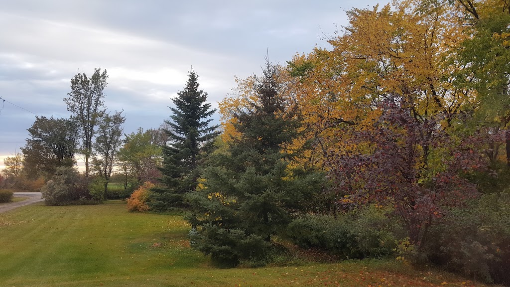 Care Printing & Publishing Inc | 307 SK-365, Manitou Beach, SK S0K 4T1, Canada | Phone: (306) 946-4027