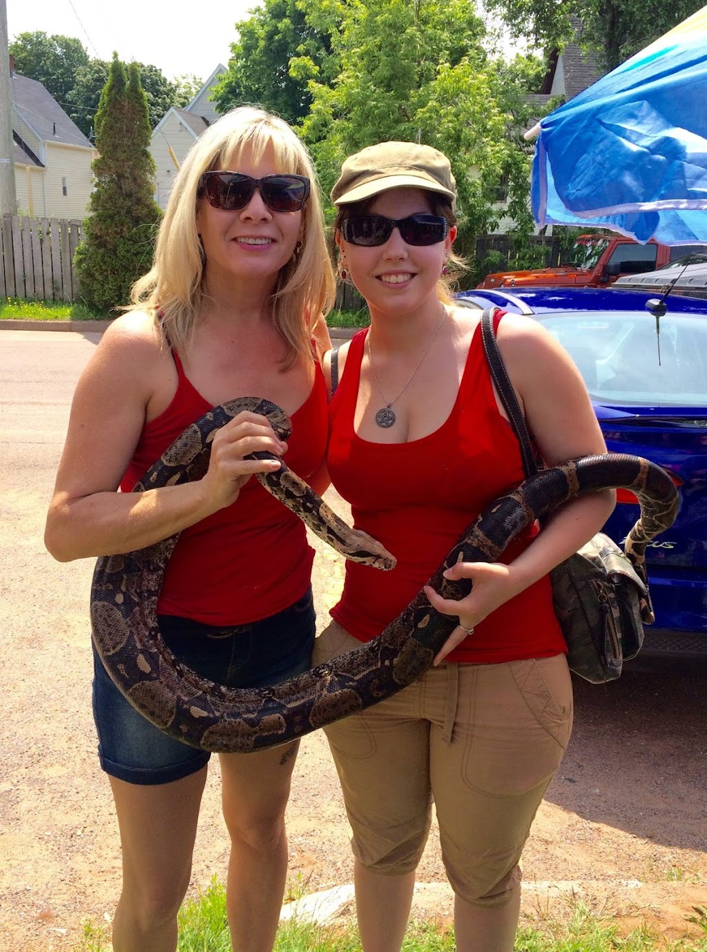 Bunny Trails Pet Ranch | 1306 Rte 20, Kensington, PE C0B 1M0, Canada | Phone: (902) 954-0097