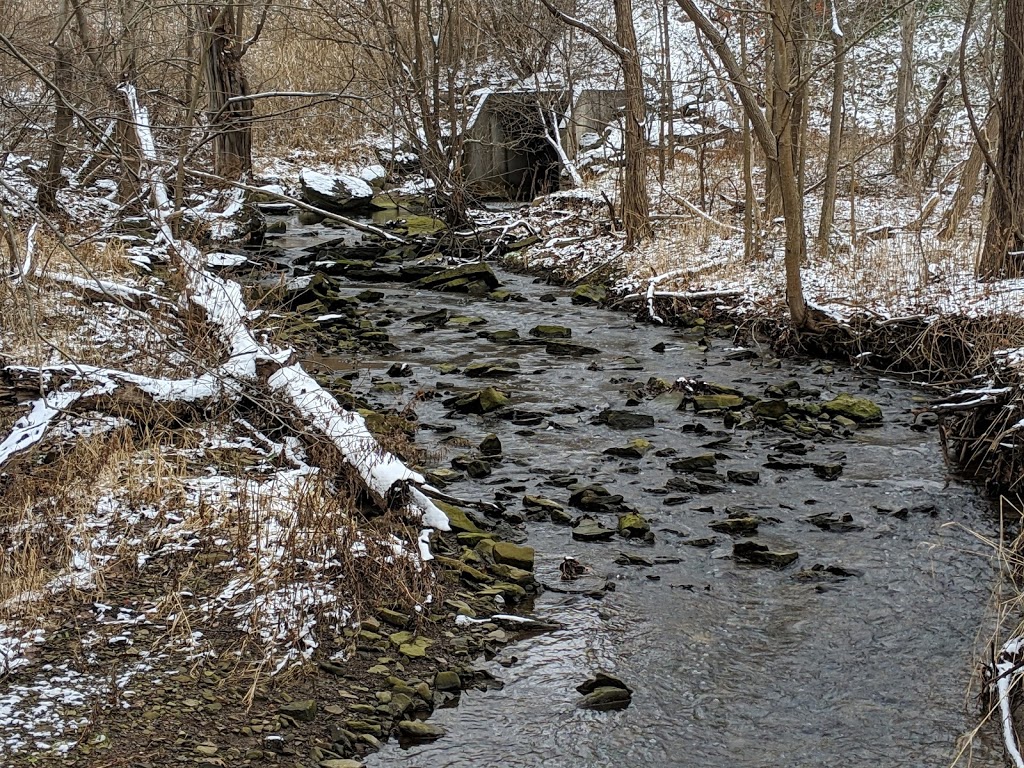 Rolin T Grant Gulf Wilderness Park | 445 Glenwood Ave, Lockport, NY 14094, USA