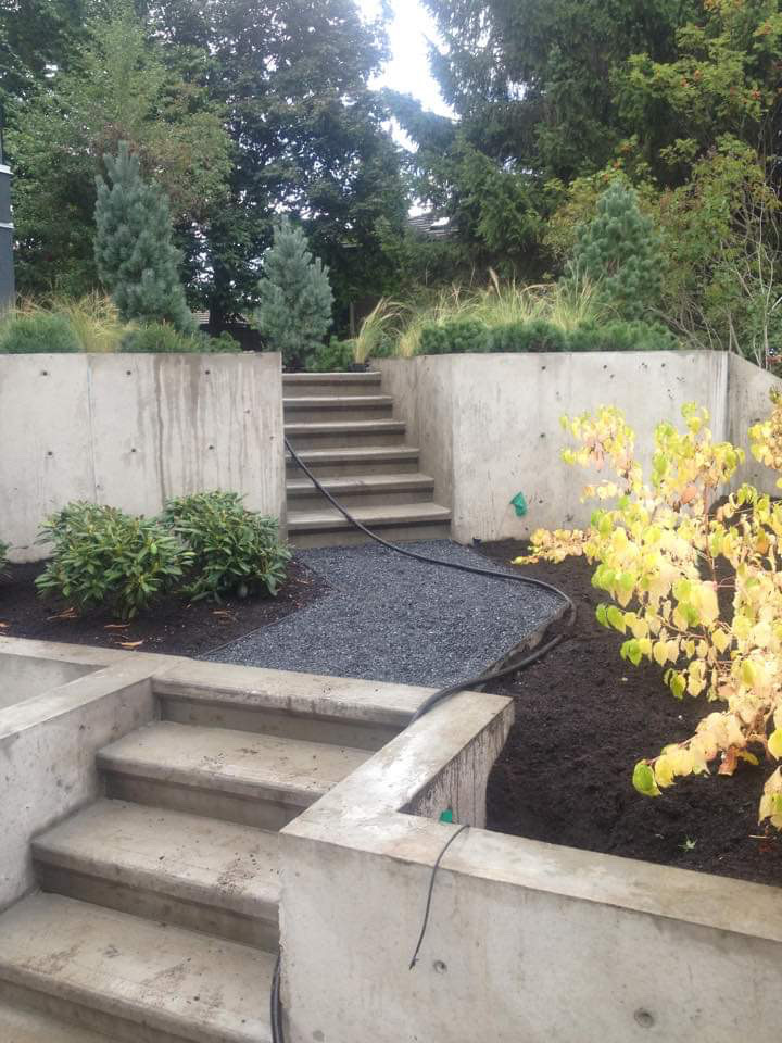 Treewisemen Landscaping Ltd. | 39472 No 5 Rd, Abbotsford, BC V3G 2G3, Canada | Phone: (604) 861-8733