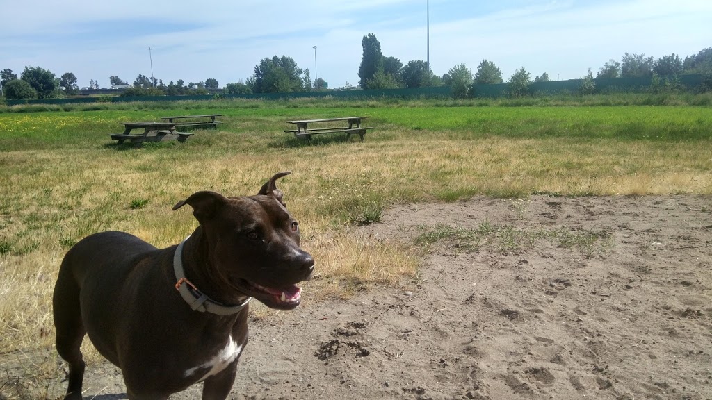 Hamilton Highway Offleash Dog Park | 4551 Thompson Rd, Richmond, BC V6V 1S9, Canada
