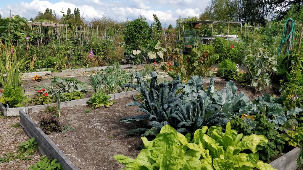 Terra Nova Rural Park Farm Center | 2631 Westminster Hwy, Richmond, BC V7C 1A1, Canada