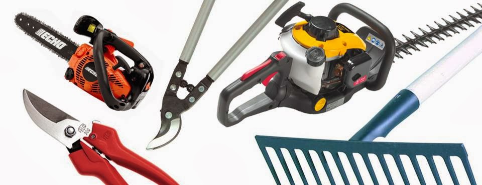 Pro Tec Arbres Inc | 63 Rue Augustin Delisle, Québec, QC G2G 2G4, Canada | Phone: (418) 580-4292