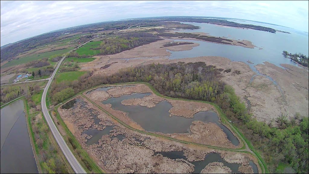 Brighton Constructed Wetland | 211 Prince Edward St, Brighton, ON K0K 1H0, Canada | Phone: (613) 475-1162