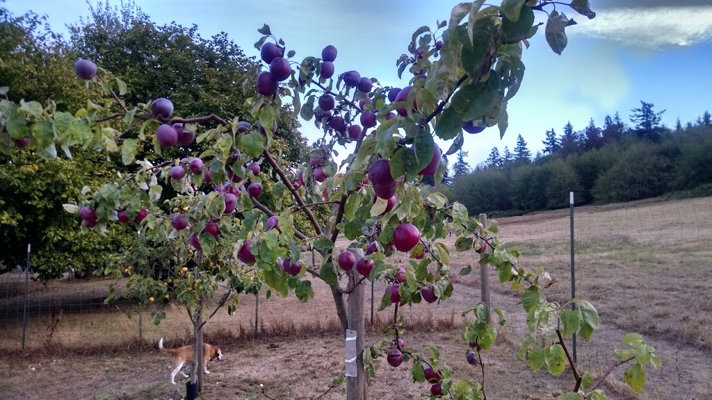 Curry Preserve | 2449 N Nugent Rd, Lummi Island, WA 98262, USA