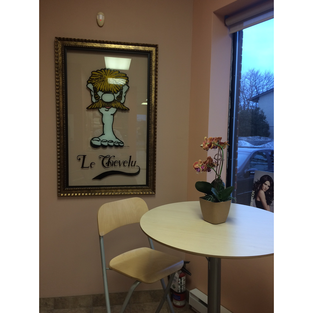 Le Chevelu Salon de Coiffure pour tous | 2880 Chemin de Chambly, Longueuil, QC J4L 1N1, Canada | Phone: (450) 647-5992