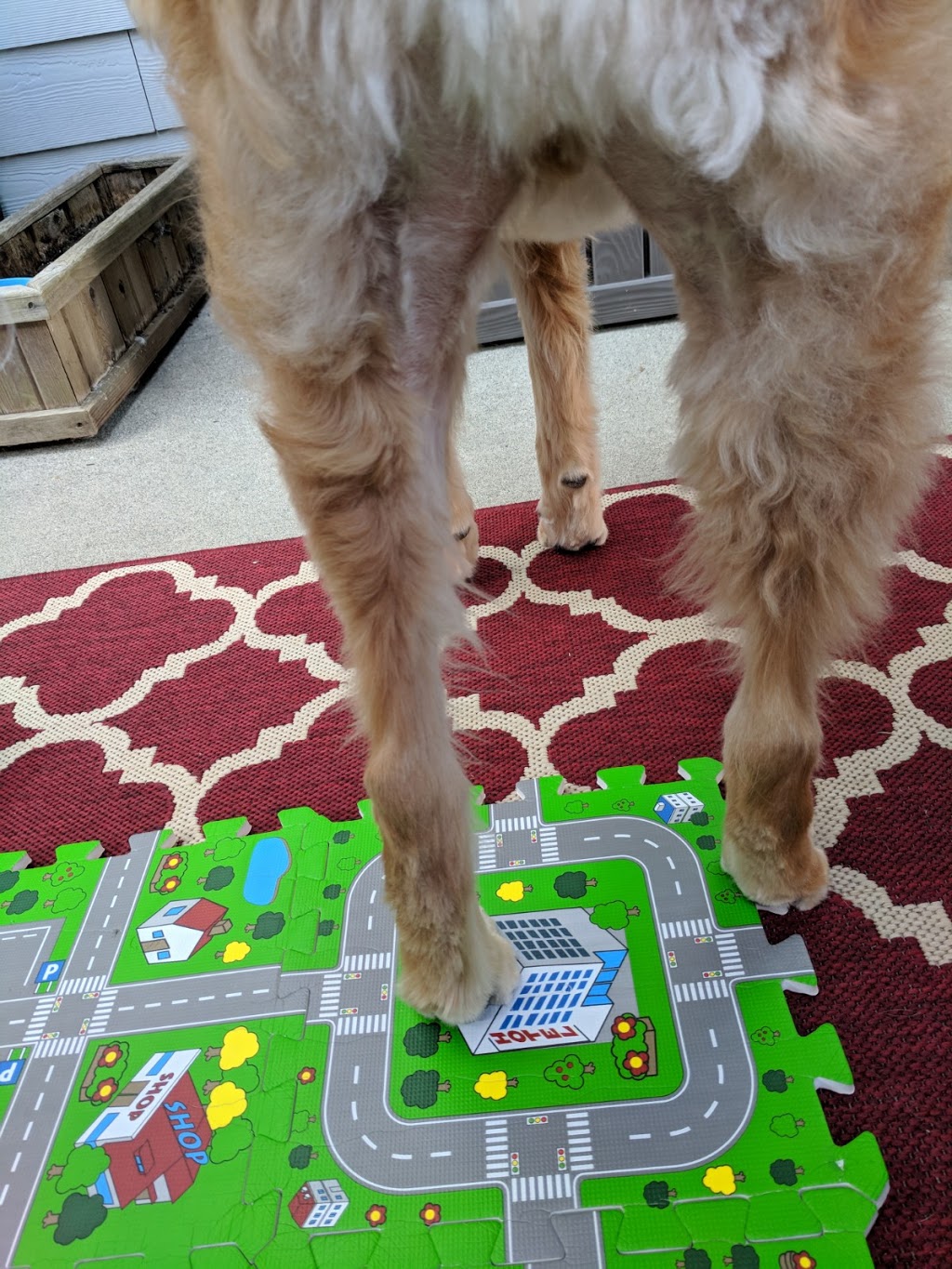 Critters & Friends Pet Supplies Ltd | 991 Stayte Rd, White Rock, BC V4B 4Y7, Canada | Phone: (604) 535-8278