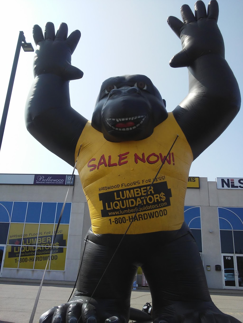 Lumber Liquidators | 442 Millen Rd, Stoney Creek, ON L8E 6H2, Canada | Phone: (289) 205-0402
