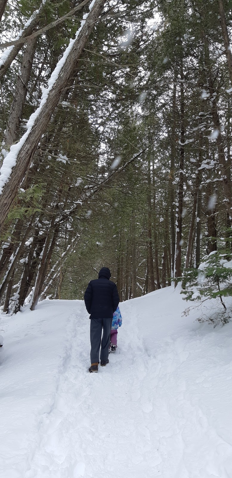 Nodwell Park | 788 Highland St, Port Elgin, ON N0H 2C2, Canada | Phone: (519) 832-2008