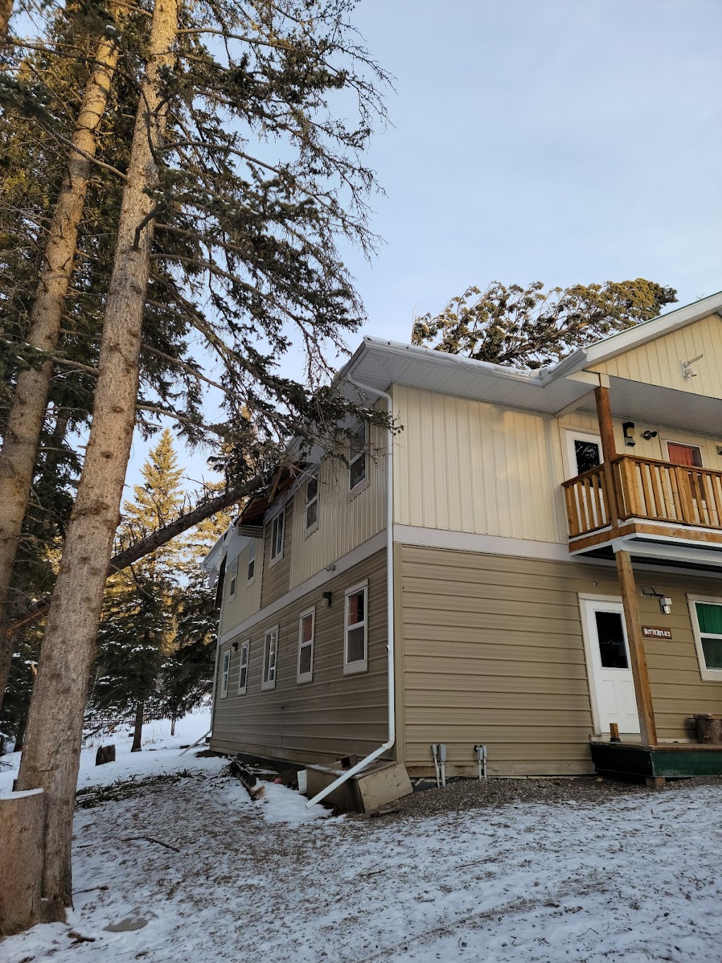 Prairie Woodlands Tree Care Ltd. | 264098, Range Rd 13, Airdrie, AB T4B 5B7, Canada | Phone: (587) 600-8936