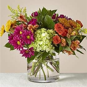 Raw Flowers | 43 Lorilee Crescent, Kitchener, ON N2N 2J2, Canada | Phone: (250) 214-4778