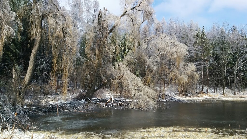 Cold Creek Conservation Area | 14125 11th Concession, Nobleton, ON L0G 1N0, Canada | Phone: (905) 833-5321