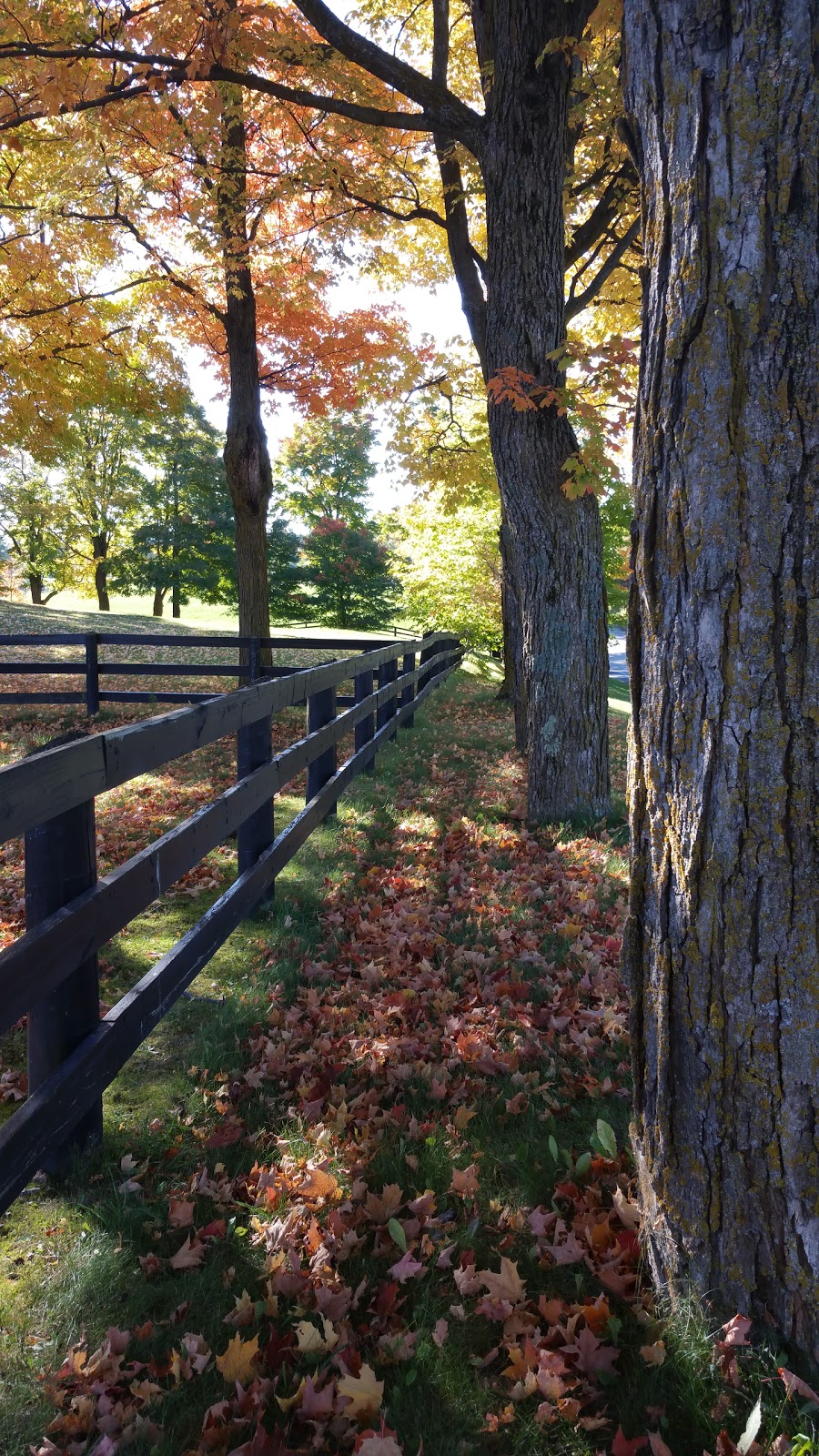 Conservation Lands | Mono Adjala Townline, Orangeville, ON L9W 2Z2, Canada | Phone: (416) 661-6600