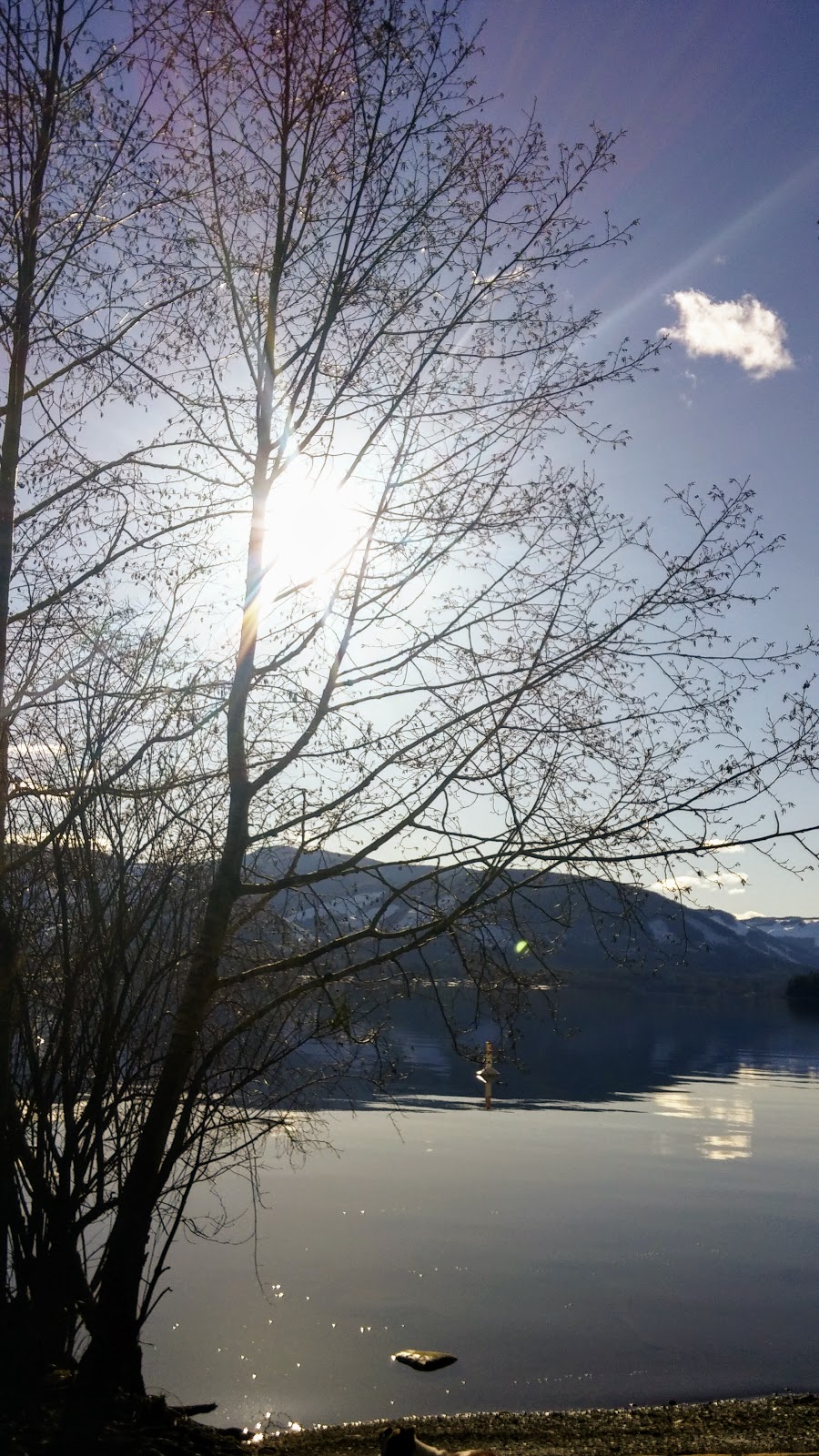 Stoker Park | Marble Bay Rd, Meades Creek Rd, Youbou, BC V0R 2N0, Canada | Phone: (250) 746-2500