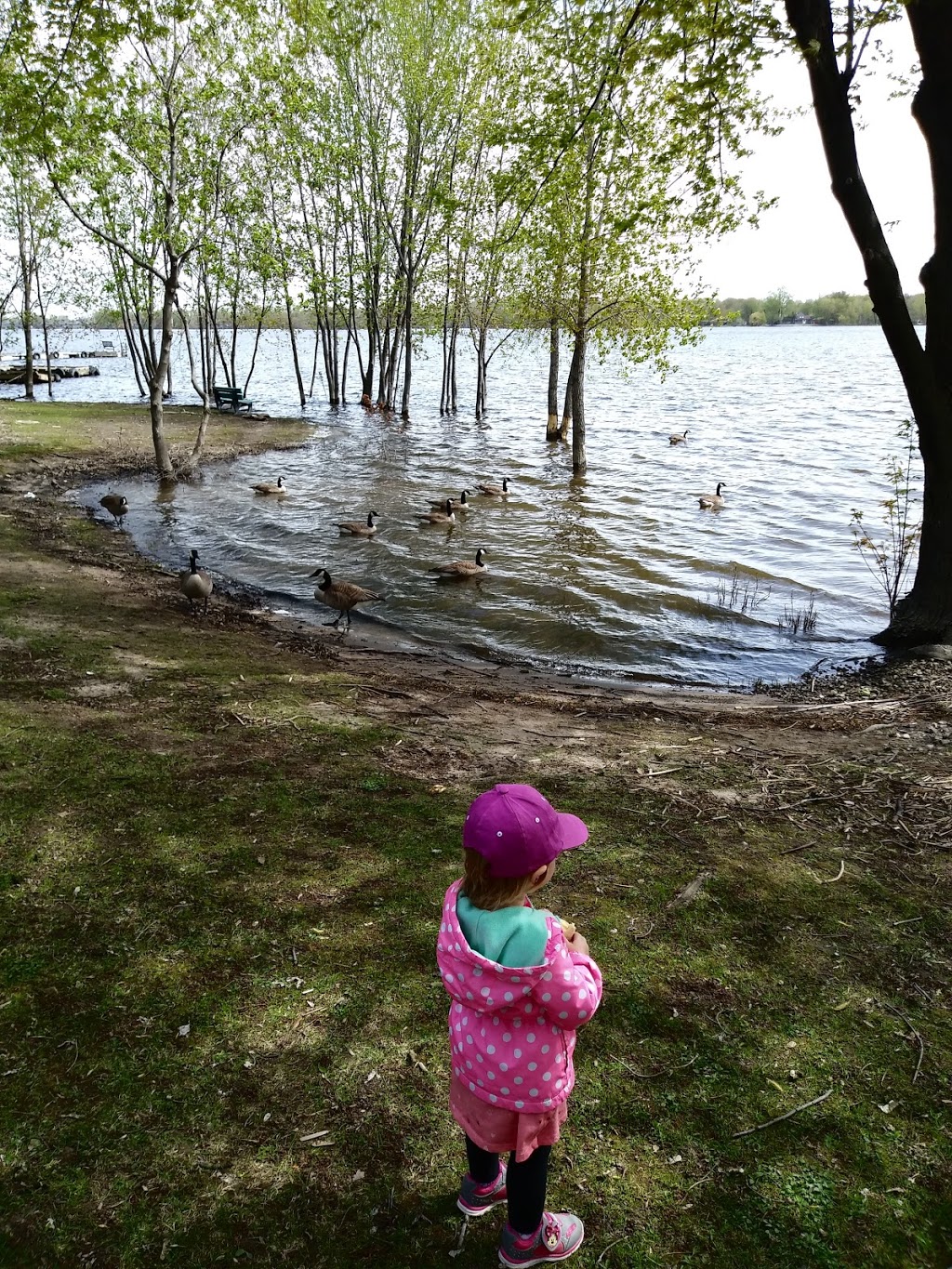 Parc Moir | Chemin dOka, Deux-Montagnes, QC J7R 1K7, Canada | Phone: (450) 473-2796