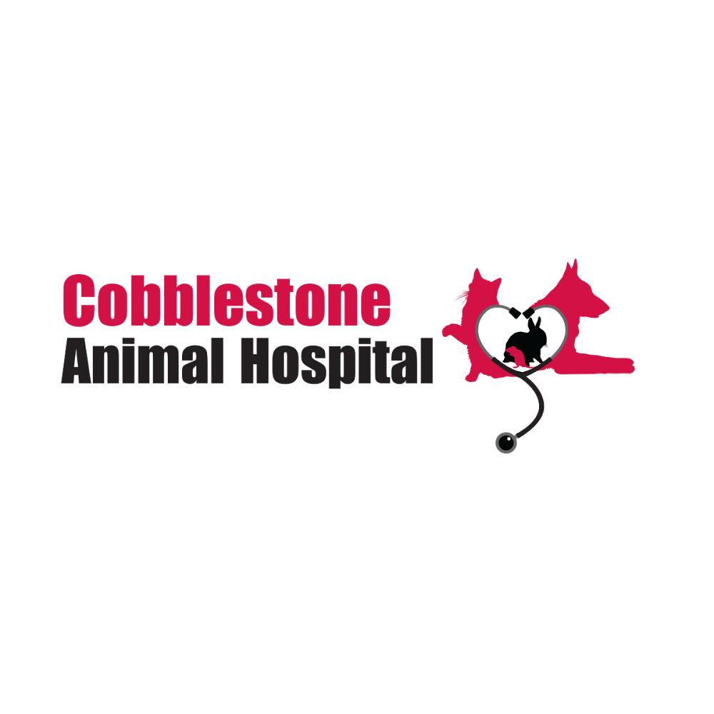 Cobblestone Animal Hospital | 1084 Rest Acres Rd #1, Paris, ON N3L 0B5, Canada | Phone: (519) 442-3286
