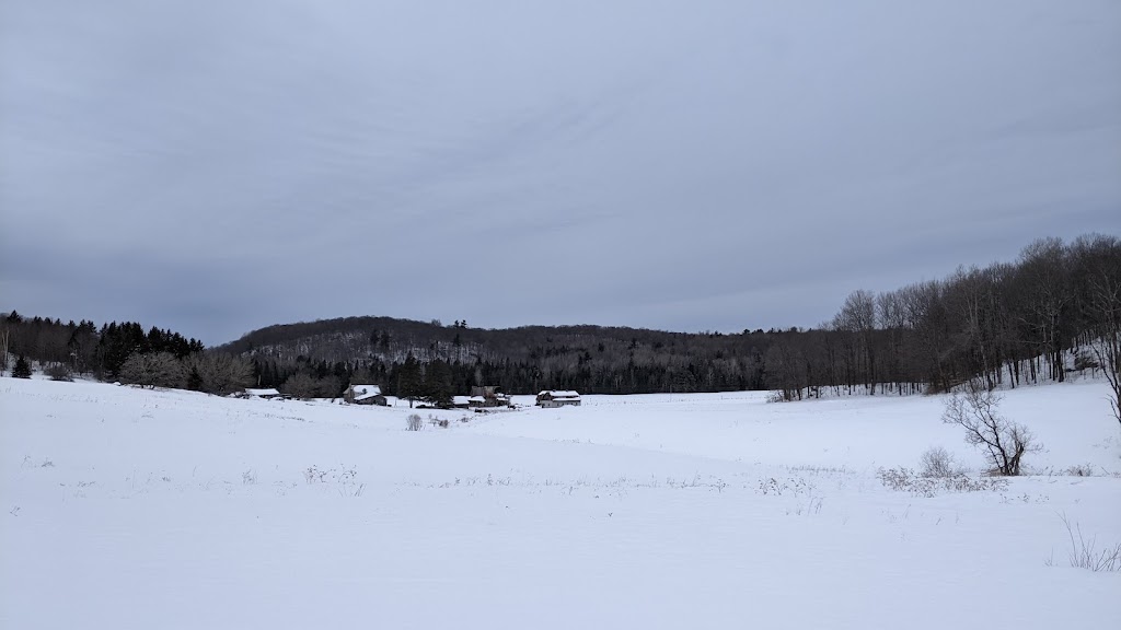Sentiers les Renards Blancs | Chem. Zinkie, LAnge-Gardien, QC J8L 4C7, Canada | Phone: (819) 712-0312