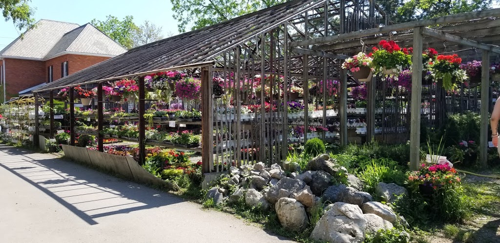Wears Flowers & Garden Centre | 1814 King St E, Hamilton, ON L8K 1V7, Canada | Phone: (905) 544-4906