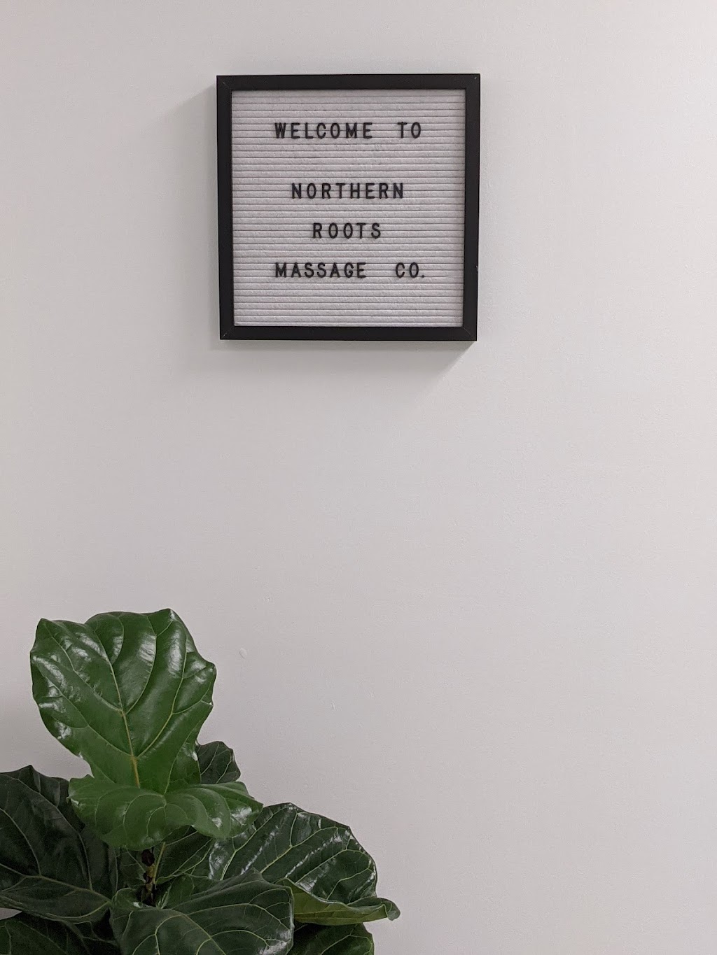 Northern Roots Massage Co. | 484 Garrison Rd, Fort Erie, ON L2A 1N2, Canada | Phone: (289) 931-3500