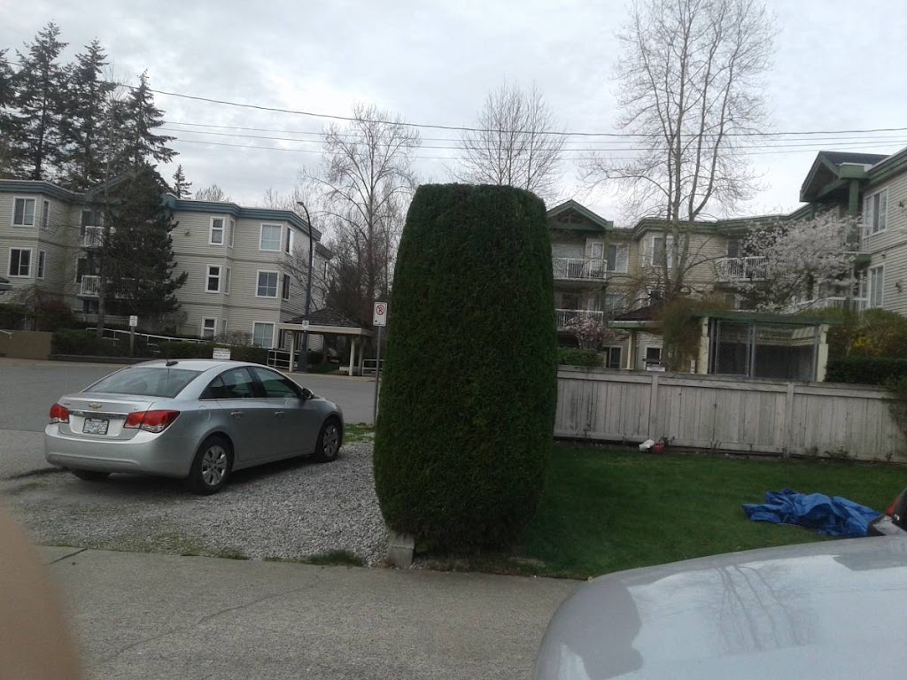 Hedge PRO Trimming | 231 Eighth St #304, New Westminster, BC V3M 3P8, Canada | Phone: (604) 417-4211