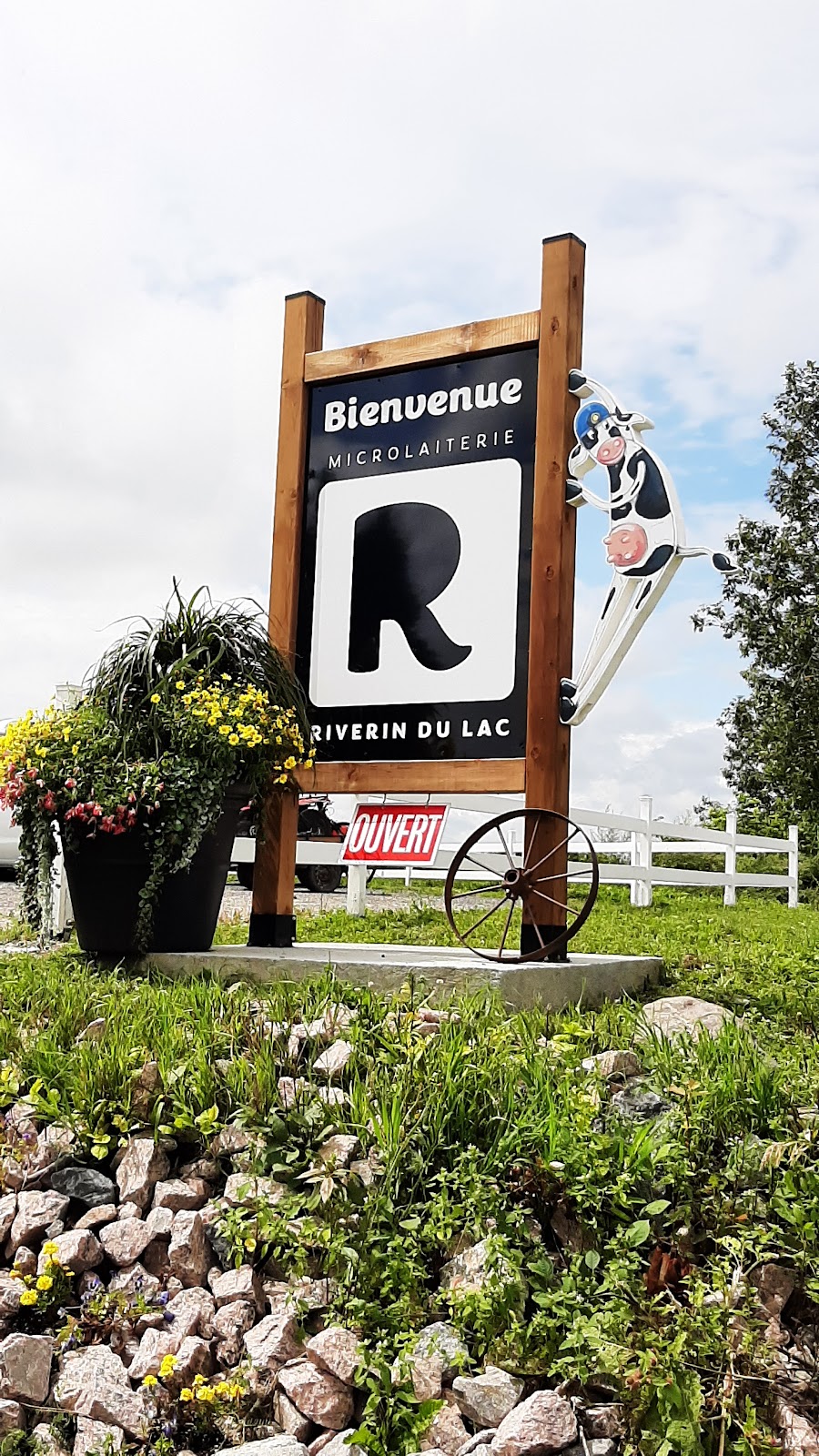 Microlaiterie Riverin du Lac | 111 Rang 3e, Hébertville-Station, QC G0W 1T0, Canada | Phone: (418) 343-3582