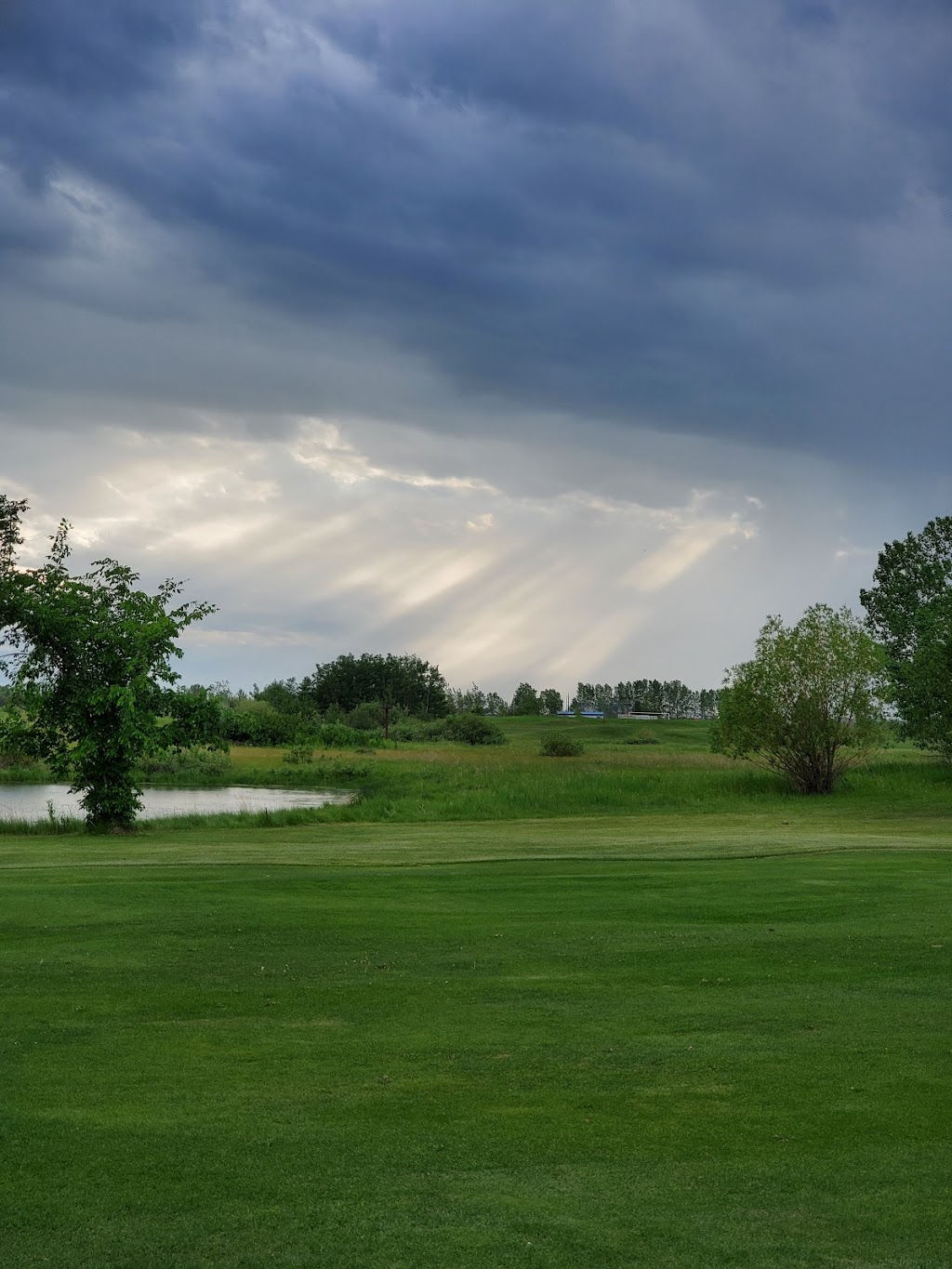 Hanna Golf & Country Club | 201 Golf Course Crescent, Hanna, AB T0J 1P0, Canada | Phone: (403) 854-3722