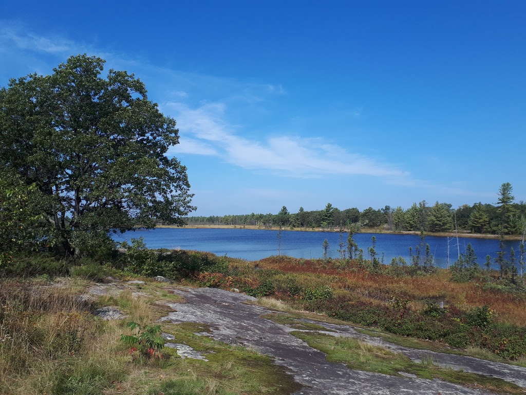 Torrance Barrens Dark-Sky Preserve | Southwood Rd, Gravenhurst, ON P0C 1M0, Canada | Phone: (800) 267-9700