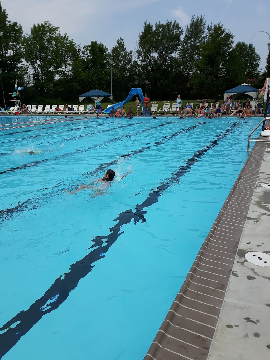 Lakeshore Swimming Pool Association | 792 Henderson Blvd, Kingston, ON K7M 4Y3, Canada | Phone: (613) 389-9510