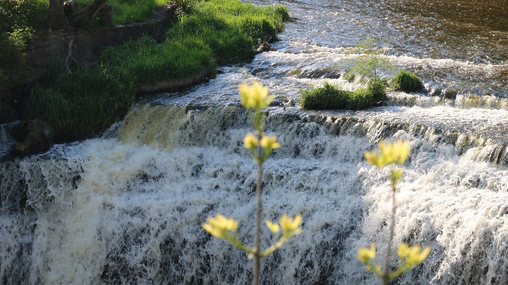 Bruce Reynolds Park | 2173 Springbank Rd, Mississauga, ON L5H 3N5, Canada