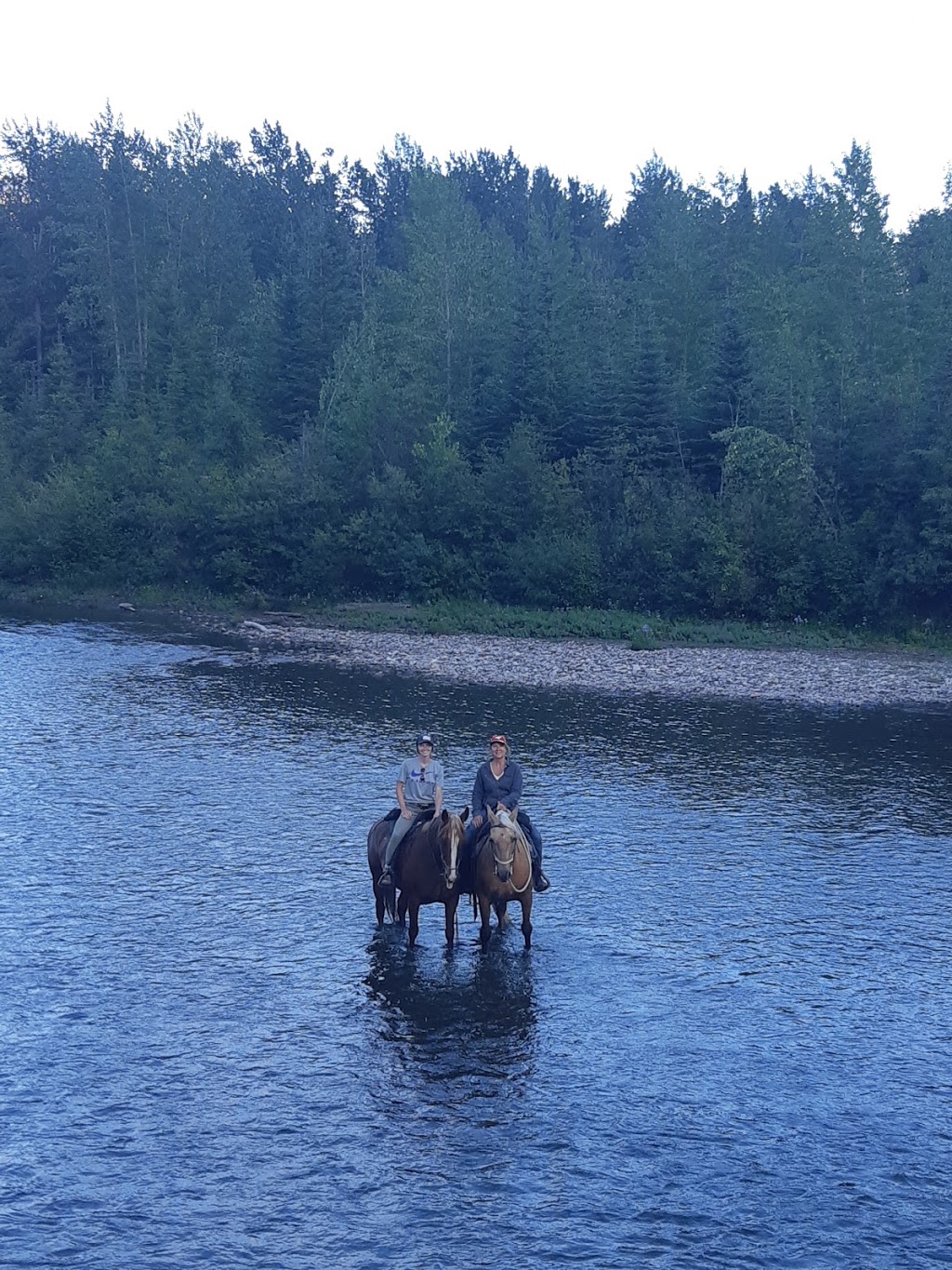RIDEEASY RANCH | Box 27 Site 7, R.R. #, 1, Ponoka, AB T4J 1R1, Canada | Phone: (403) 597-7991