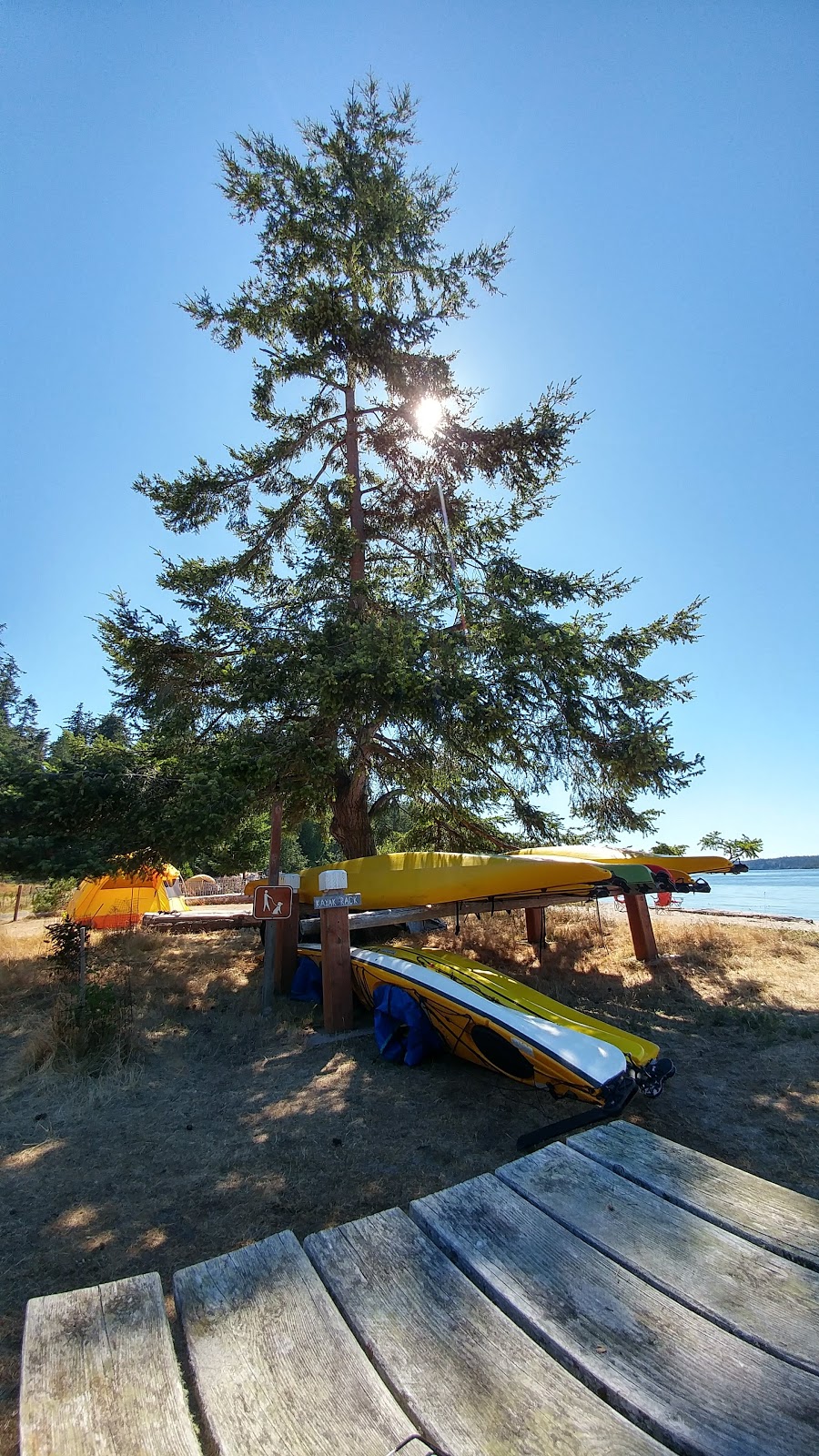 Odlin County Park | 148 Odlin Park Rd, Lopez Island, WA 98261, USA | Phone: (360) 468-2496