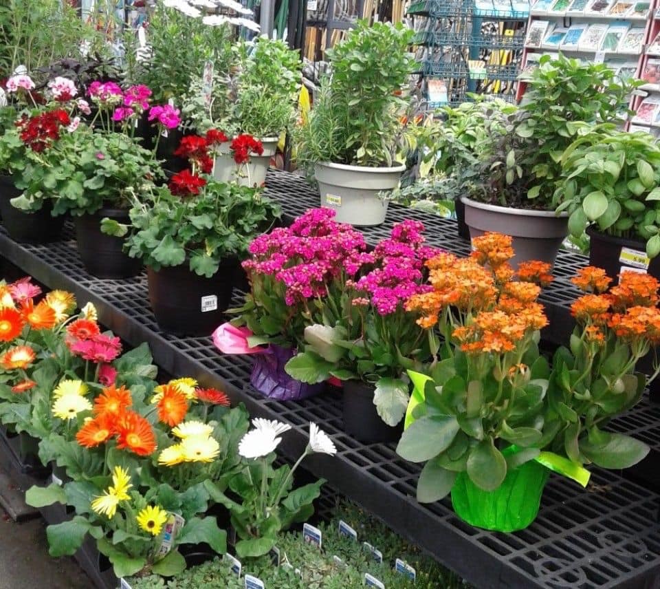 Home Hardware Sidney | 2356 Beacon Ave, Sidney, BC V8L 1X3, Canada | Phone: (250) 656-2712