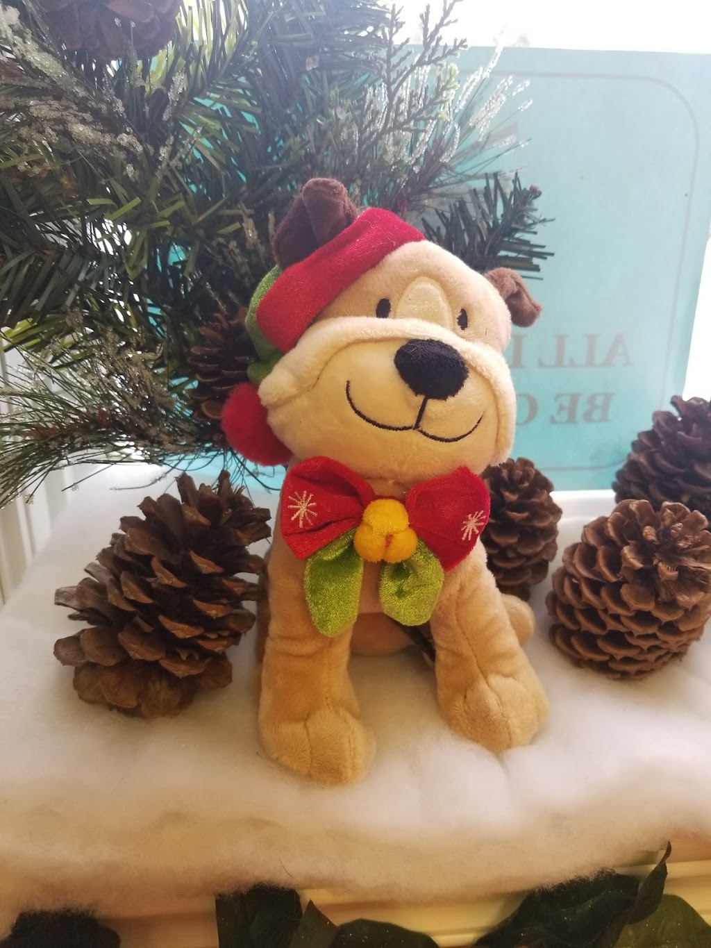 Paw Shoppe & Kennel | 662 Gondola Point Rd, Quispamsis, NB E2E 1L7, Canada | Phone: (506) 847-8812