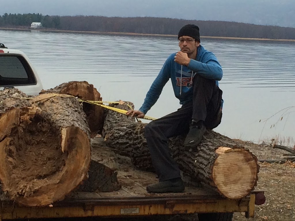 Tree Problems ? Tree Services ! | 851 A Rainbow Rd, Salt Spring Island, BC V8K 2M8, Canada | Phone: (250) 537-9897