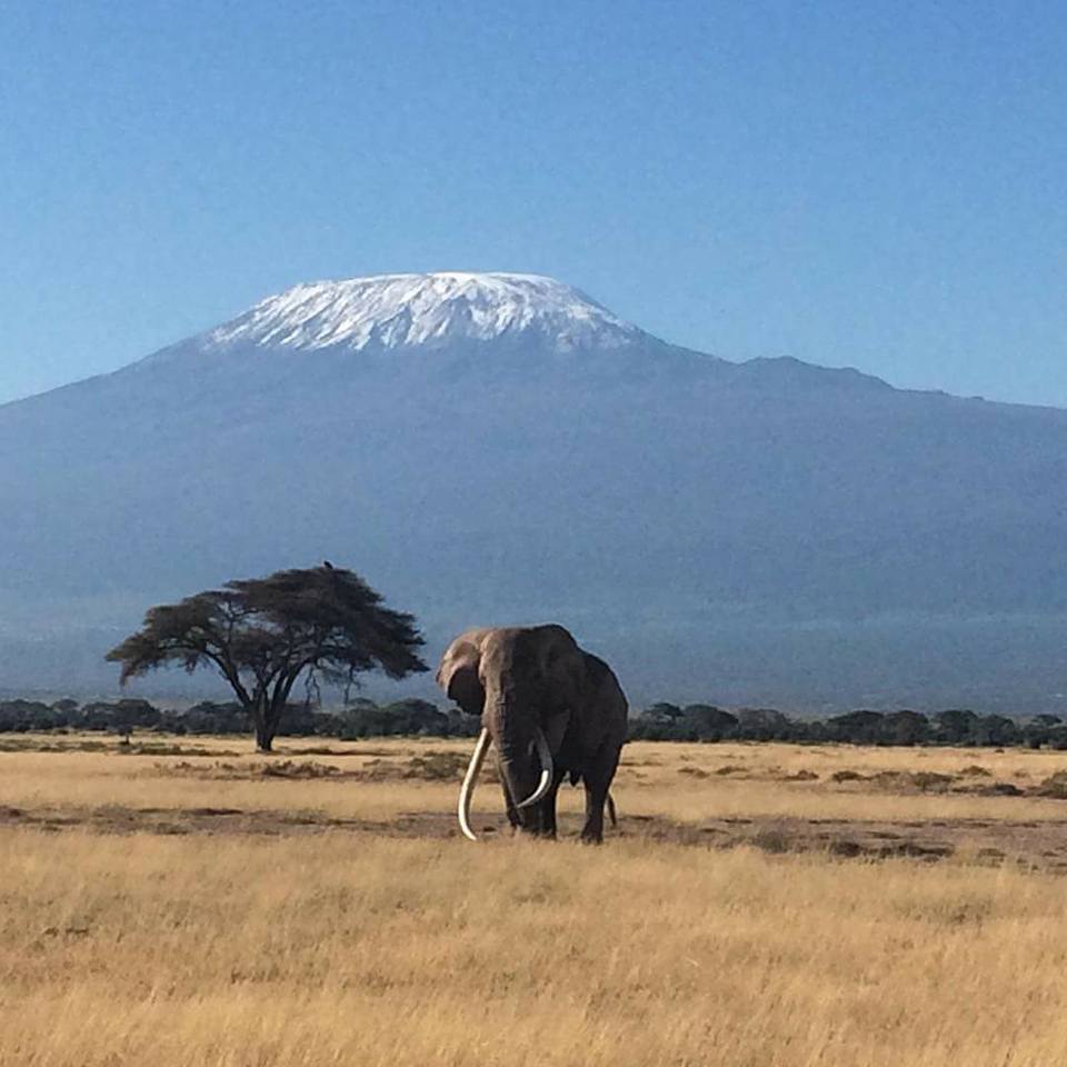 Kilimanjaro Trekking Guides | 493 Cheryl Pl, Kingston, ON K7K 0B2, Canada | Phone: (613) 929-3313
