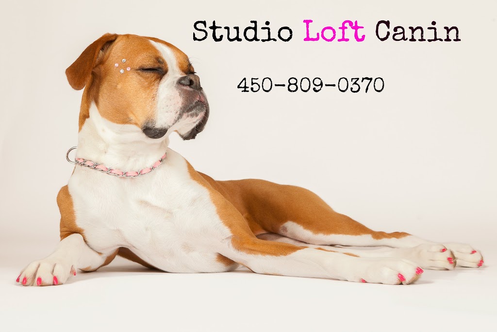 Toilettage Studio Loft canin | 199 Chemin du Petit-Bois Local 105, Varennes, QC J3X 1P7, Canada | Phone: (450) 809-0370