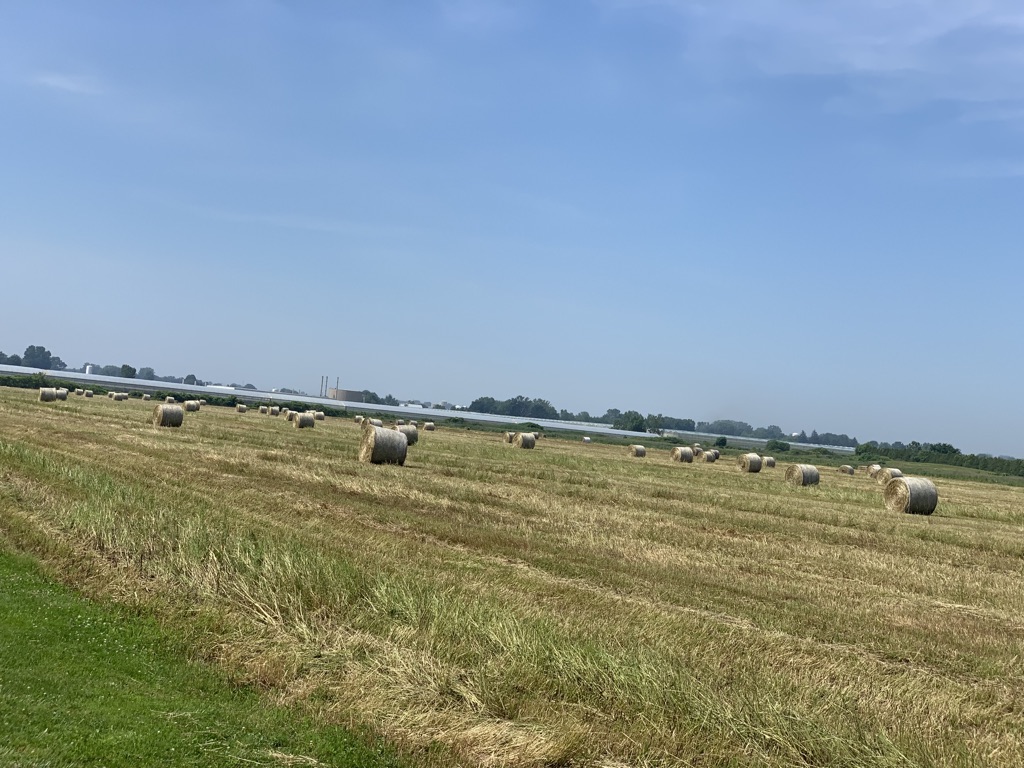 Ordonez Cattle Farms | 501 Mersea Road 5, Leamington, ON N8H 3V5, Canada | Phone: (519) 322-0849